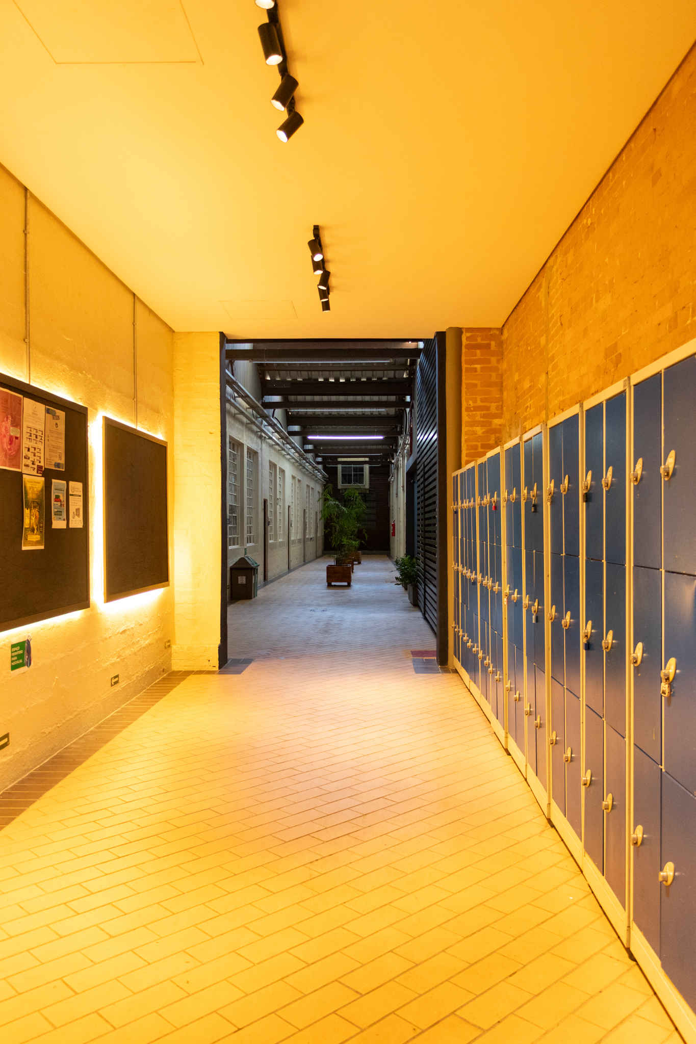 Blue hallway with lockers and classroom access