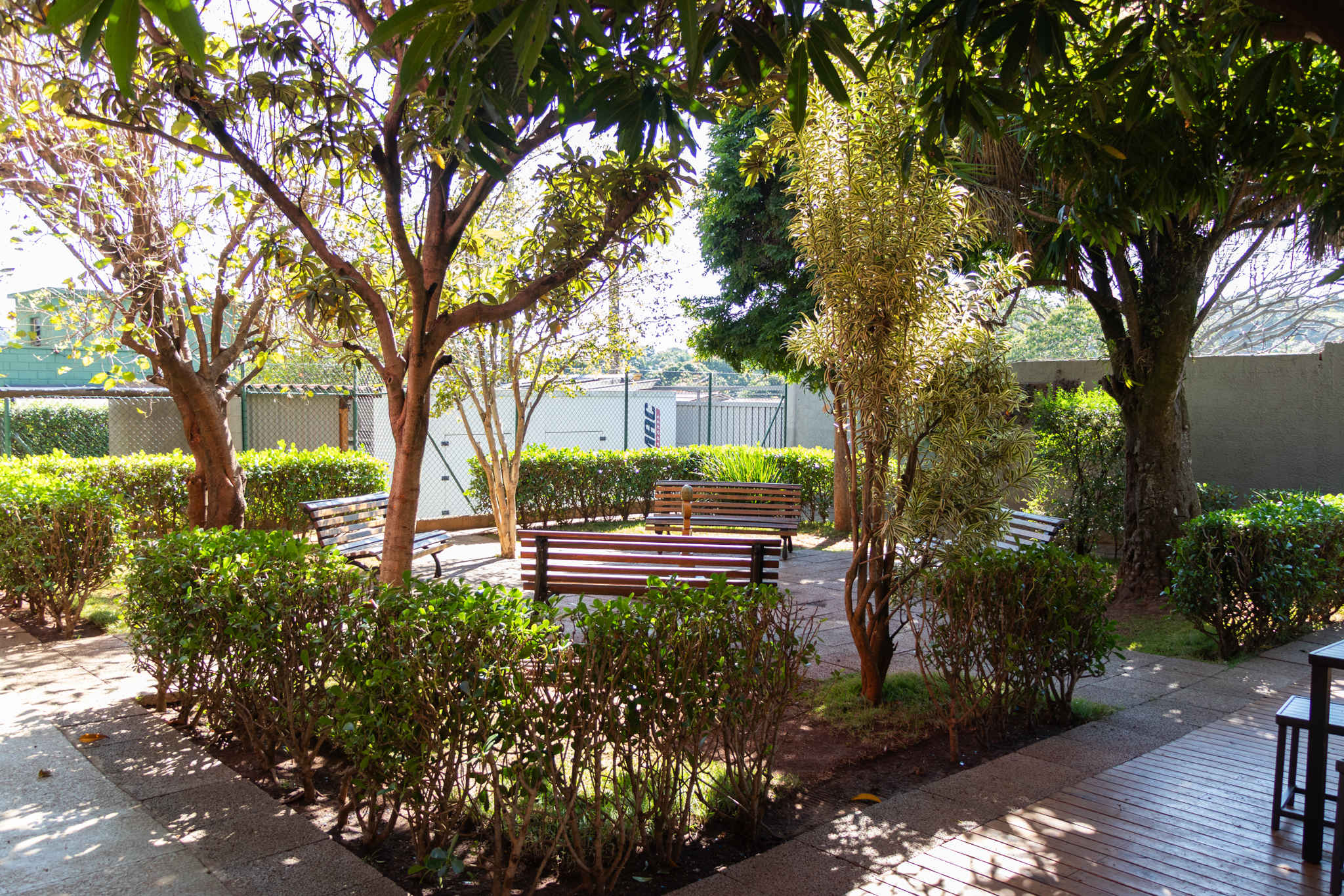 Outdoor area with fountain and tree-lined benches