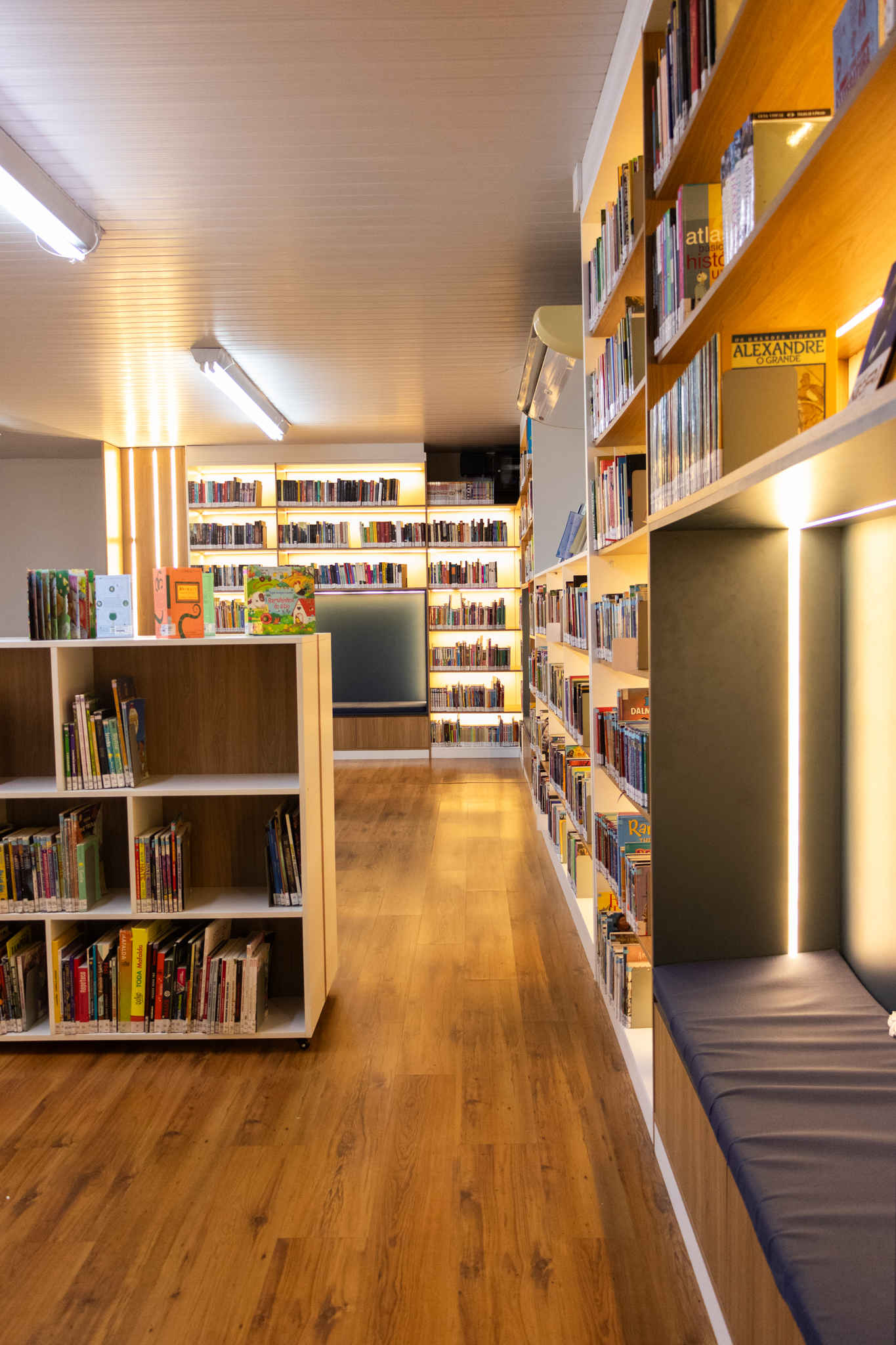 Bookshelves in the Learning and Information Center